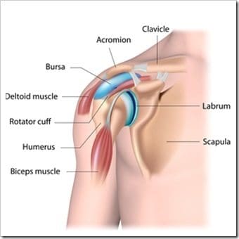 Shoulder Pain Quincy MA Rotator Cuff Injury