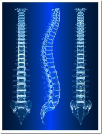 Chiropractic Career