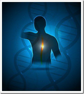 Chiropractor Billings MT Health Solutions