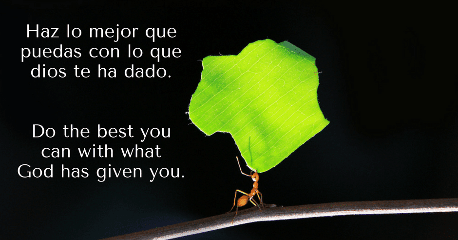 Do the Best You Can Elverson PA