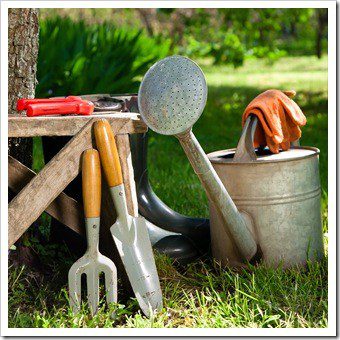 Spinal Health Gardening Jackson MS