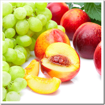 Nutrition Elverson PA Wellness