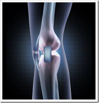 Tendonitis Longmont CO Pain Relief